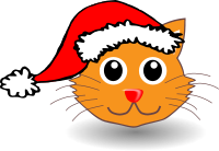 a cute santa kitty